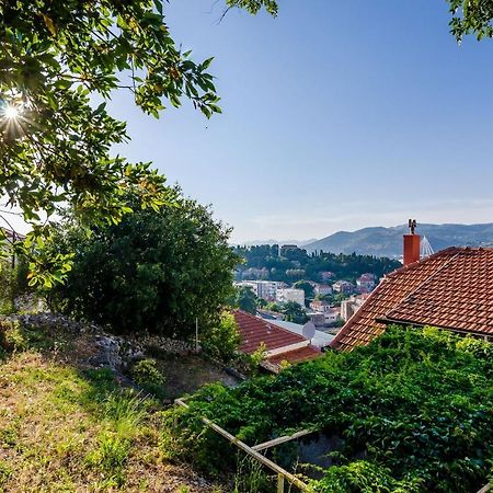 Apartment Amigo Dubrovník Exteriér fotografie